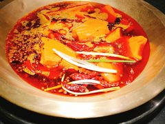 红锅-王婆乔鲜鱼自助火锅(蜀汉路店)
