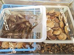 -启博美食城(孟家店)