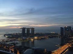 -新加坡瑞士史丹福酒店