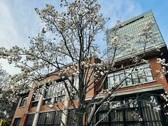 -上海瑞金洲际酒店
