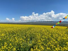 -青海湖国家重点风景名胜区