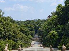 -宜兴龙背山森林公园