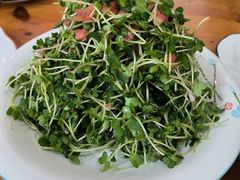 凉拌萝卜苗-一宝菜馆(潍坊总店)