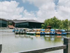 -上海长兴岛郊野公园