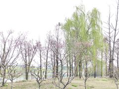 -扬州古运河