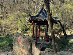 -句容茅山景区