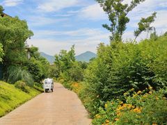 -杭州开元森泊度假乐园