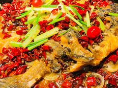 -老板恋上鱼(高新万达店)