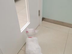 -宠福鑫康馨动物医院·骨科·眼科