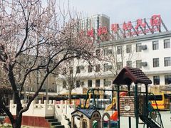 -高娃幼儿园