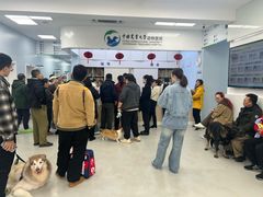 -中国农业大学动物医院