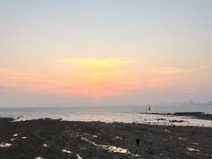 -Apple零售店(青岛万象城店)