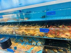 -王潮活海鲜自助·蒸汽海鲜