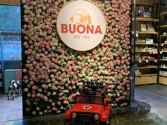 -百好乐宠物友好餐厅(朝外大街店)