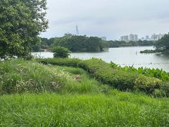 -海珠湖公园