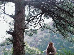 -庐山风景名胜区