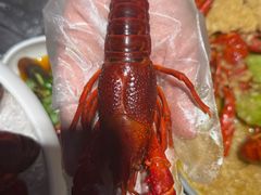 -指爱龙虾(金杨路总店)