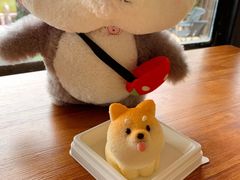 柴犬蛋糕-柴犬高等学院·狗咖·柴犬售卖·宠物训练