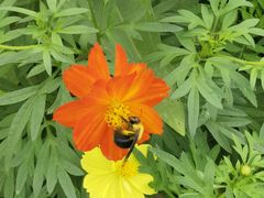 -北京西山国家森林公园