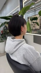 -蚂蚁造型俱乐部