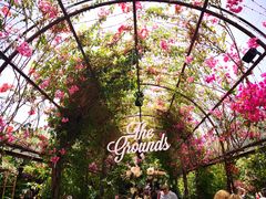 -The Grounds of Alexandria