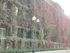 -天津五大道文化旅游区