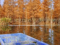 -白鹭湾湿地公园