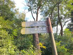 -深圳仙湖植物园