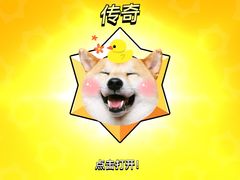 -智课教育国际高中备考托福雅思SATIB A-level AP国际课程中心(静安校区)