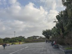 -深圳国际园林花卉博览园