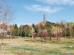 -北坞公园