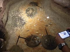 -大连圣亚海洋世界