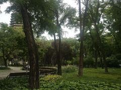 -玲珑塔公园