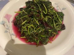 -松沪名灶·豆浆鱼头·新上海菜(飞航吾悦广场店)