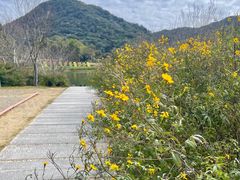 -广州市石门国家森林公园