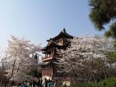 -西安青龙寺遗址景区
