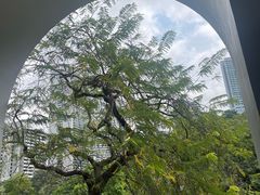 -尼依格罗香港美利酒店