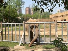 -南昌动物园