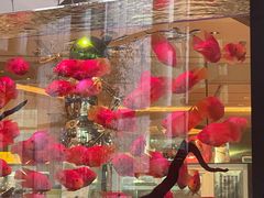-怡咖啡海鲜自助餐厅(浦东香格里拉店)
