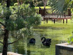 -惠州金海湾嘉华度假酒店