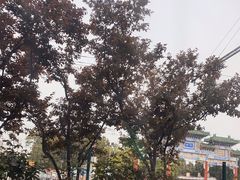 -味多美蛋糕(安定门店)
