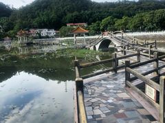 -红山村