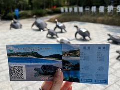 -广东惠东海龟国家级自然保护区