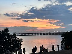 -宝安西湾红树林湿地公园