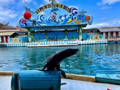 -海南分界洲岛旅游区