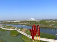 -春花秋色城市公园