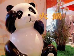 -大熊猫毛肚火锅(烟台万象汇店)