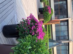 -北京云瑧金陵莲花酒店·莲·川小馆