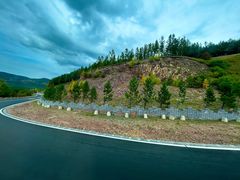 -塞罕坝国家级自然保护区