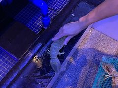 -达叔香味海鲜(海棠68环球美食街店)